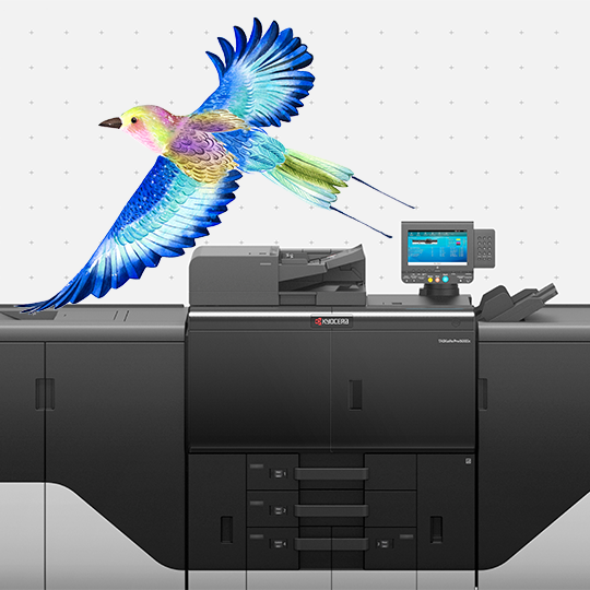 Kyocera, market leaders in commercial printing, will attend PRINTING United 2025