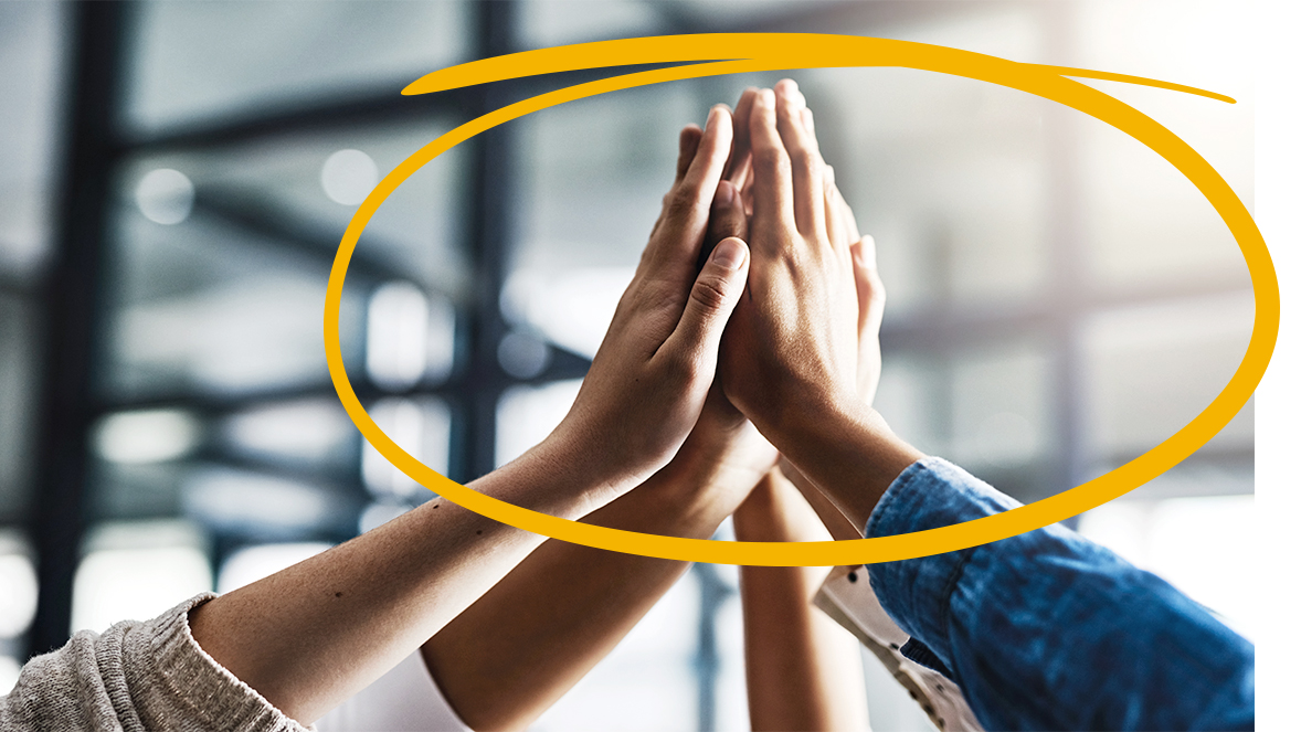 Turning information into knowledge