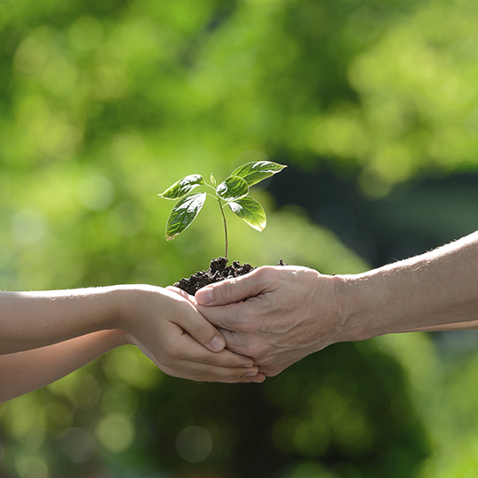 Environmental Safety Policy