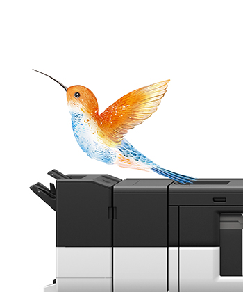 Kyocera commercial printing case studies.