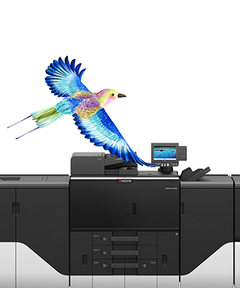 Direct mail success story using a production printer.