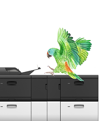 Success story for expanding commercial printing services.