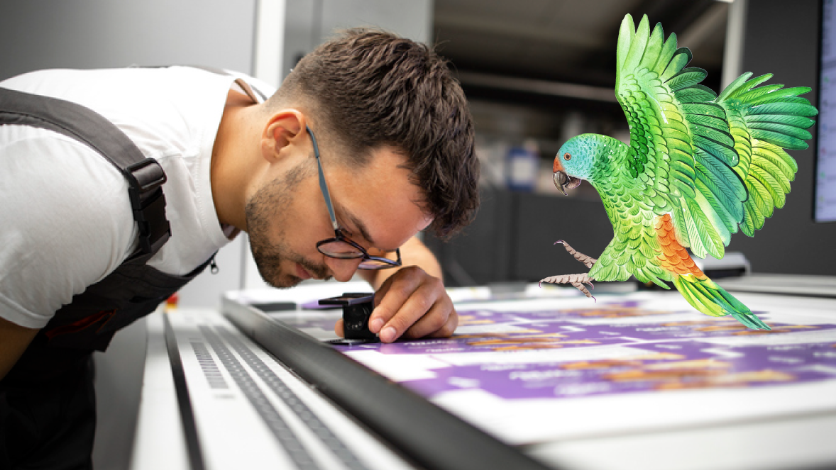 From full-color catalogs to monochrome printing for documents, inkjet printing offers versatility across different print applications.