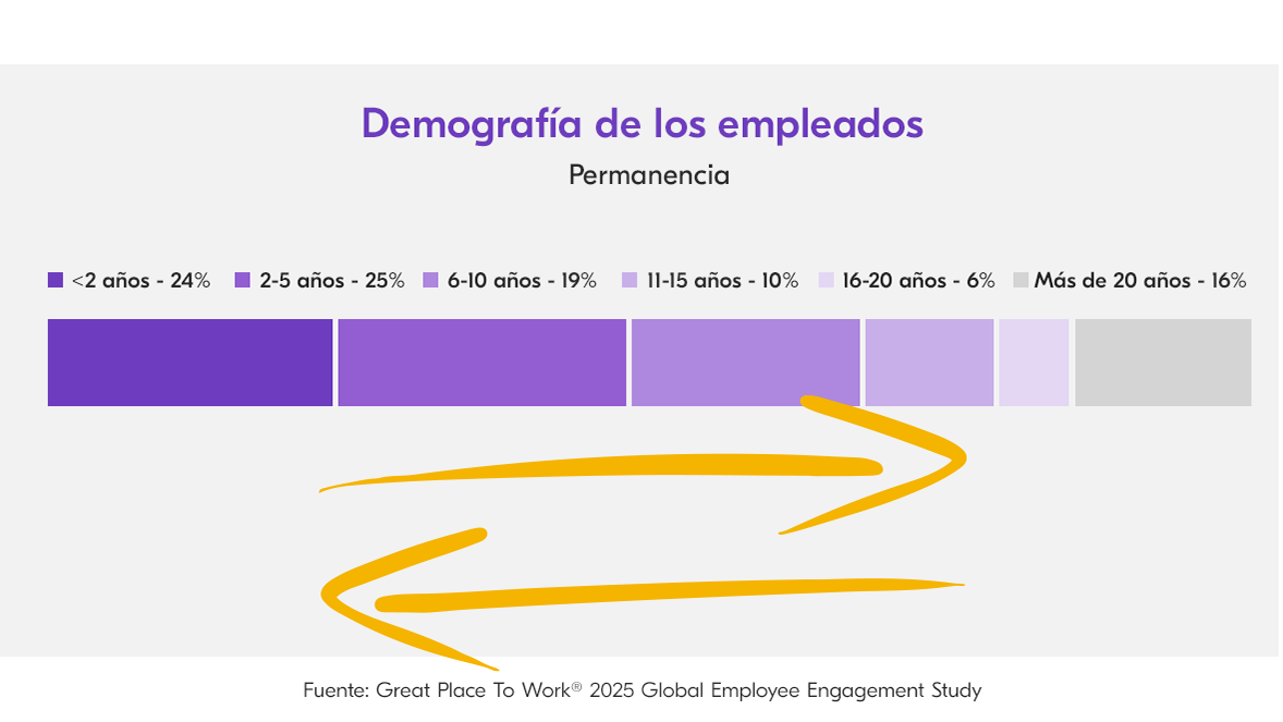 Demografía de los empleados