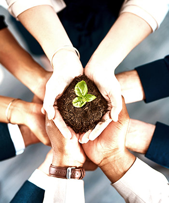 ECOSYS: La solución sostenible