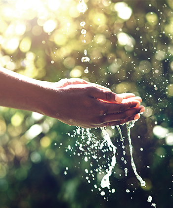 Environmentally sustainable