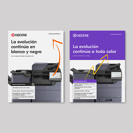 Profundice en el catálogo