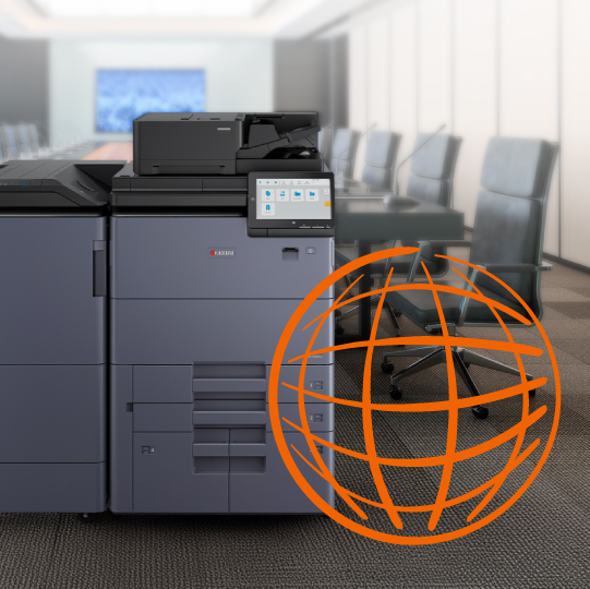 Gobierno estatal y local