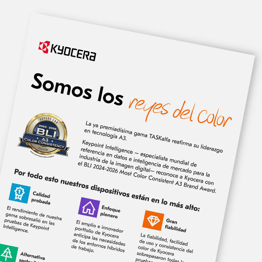 Reyes del color Reyes del color
