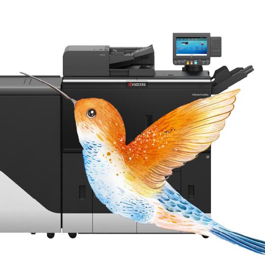 Kyocera’s production printing offering! Kyocera’s production printing offering!