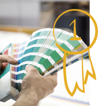 Marca Más Consistente en Color 2024-26