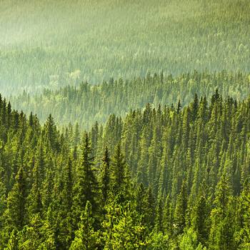 Working toward a sustainable future world Working toward a sustainable future world