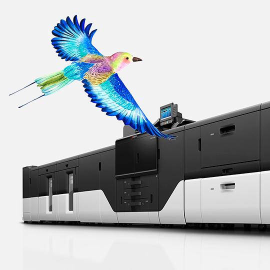 Discover Kyocera’s production printing range! Discover Kyocera’s production printing range!