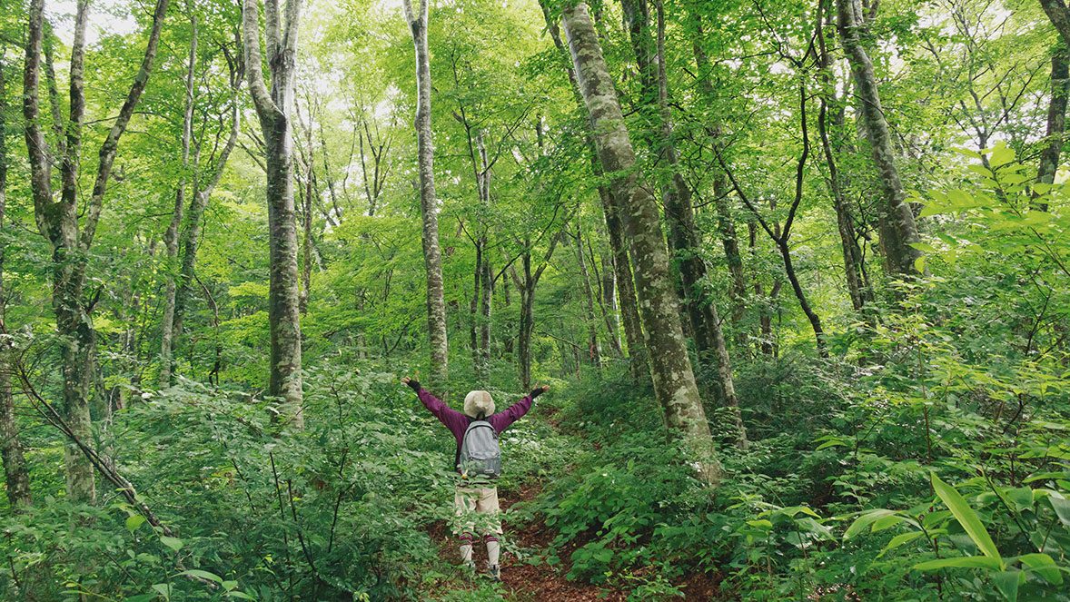 Kyocera’s ECO footPRINT™ Toner Recycling Program Hiker in the middle of forest