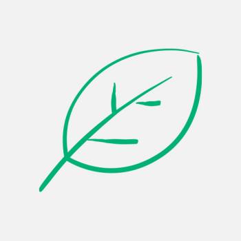 Dedication to Sustainability