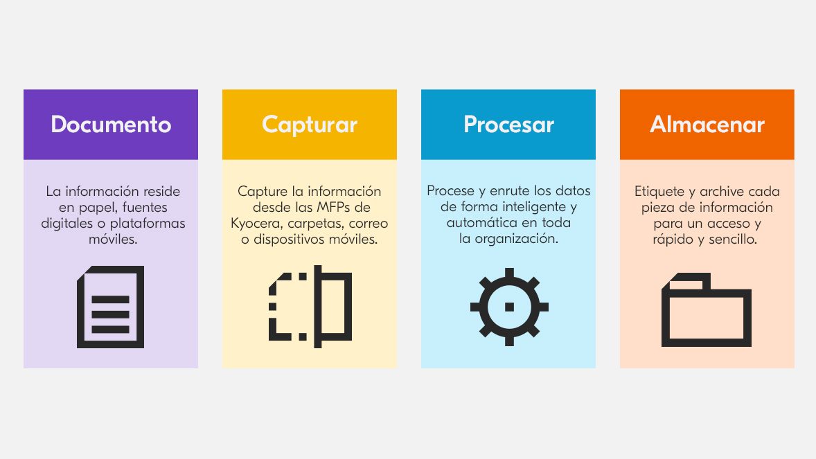 illustracion illustracion