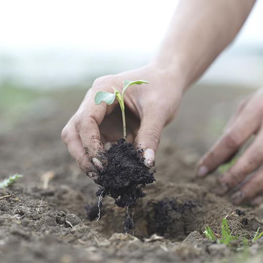 ECO footPRINT™ ECO footPRINT™